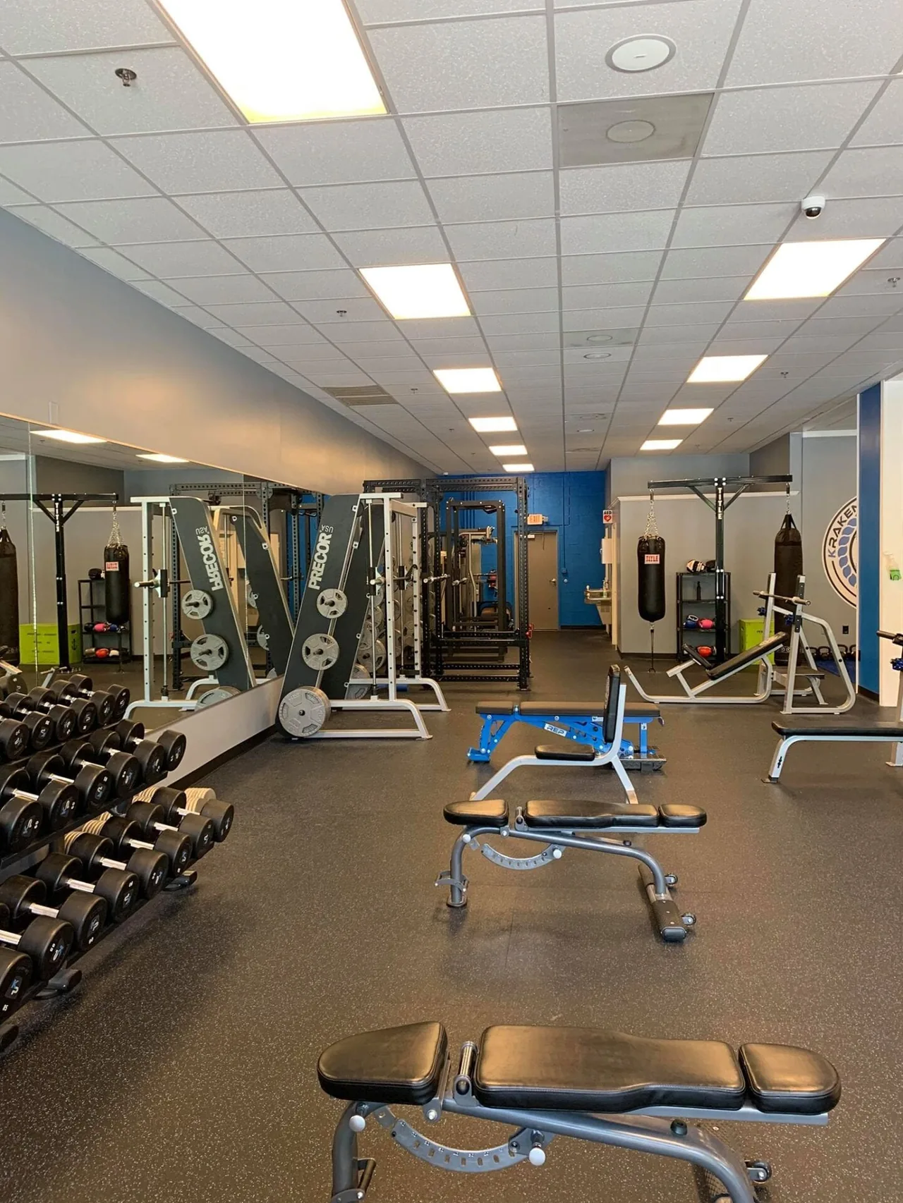 Power rack and Precor machine flanked by dumbbells and incline benches; heavy bags hanging in the rear.